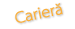 ardealul cariera